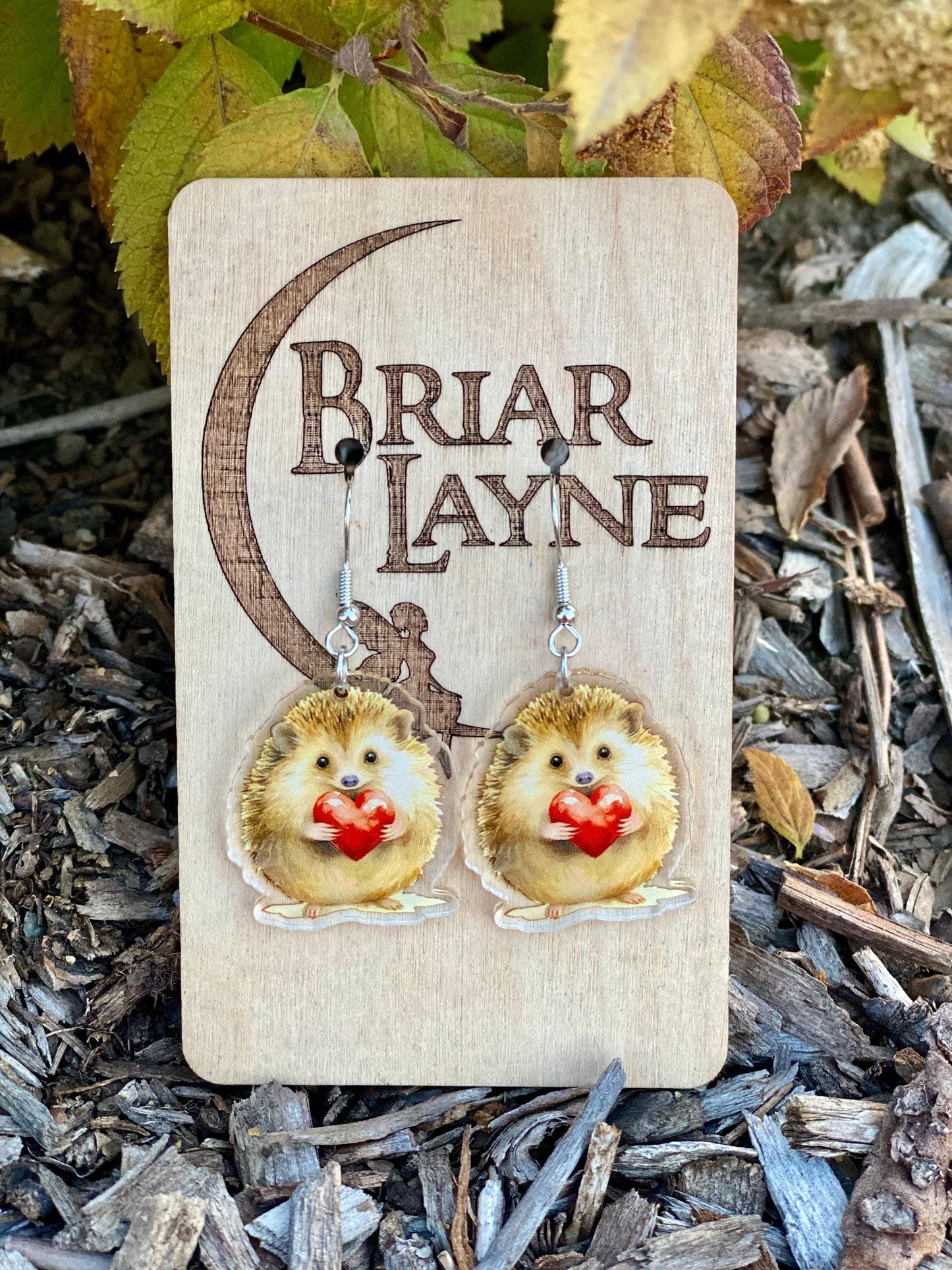 Hedgehog Valentine Heart Earrings