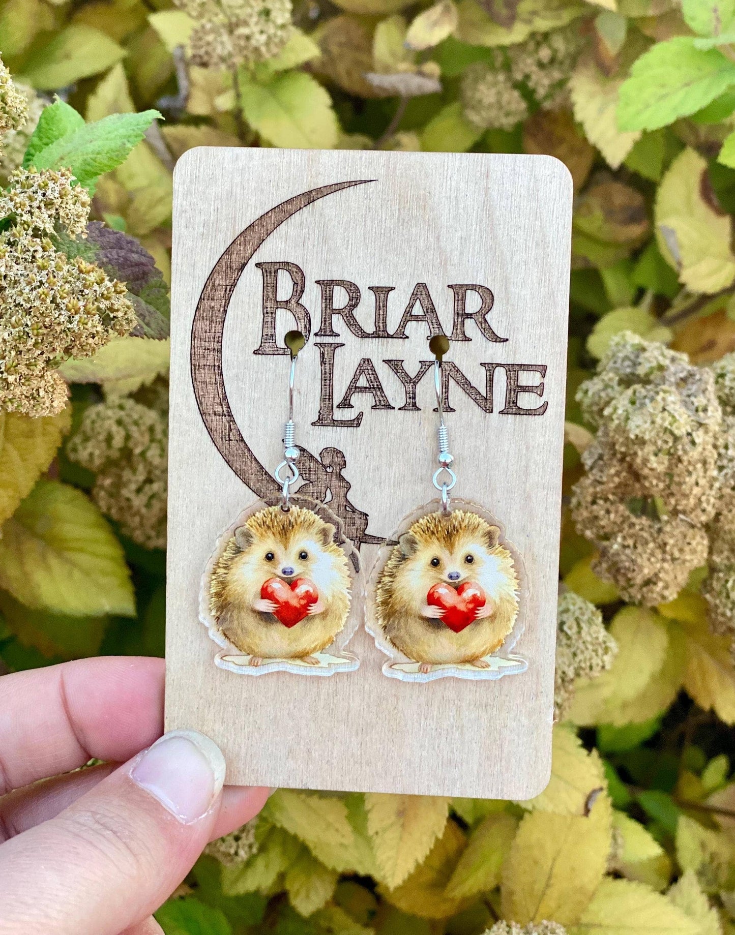 Hedgehog Valentine Heart Earrings